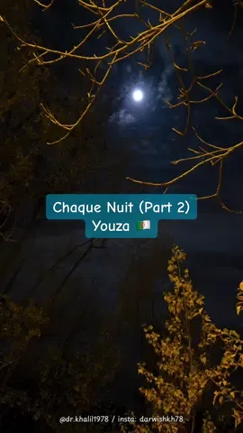 🇫🇷Chaque nuit… les souvenirs reviennent comme des vagues silencieuses. كل ليلة… تعود الذكريات كموجٍ صامت.🇱🇧 🇺🇸Every night… memories return like silent waves. 🎧Fermez les yeux, laissez la musique parler pour vous... 🎶 🎧 أغمِضوا أعينكم… ودَعوا الموسيقى تتحدث عنكم. 🎶 🎧 Close your eyes… and let the music speak for you. 🎶  Chaque Nuit (Part 2) - Youza 🇩🇿: Je revois nos nuits sous la lune أستعيد ليالينا تحت القمر I see again our nights under the moon Ton rire doux, ta voix qui m’envoûte ضحكتك الدافئة، وصوتك الذي يسحرني Your gentle laugh, your voice that enchants me Chaque souvenir me fait trembler كل ذكرى تجعلني أرتجف Each memory makes me tremble Ton parfum reste, il m’a marqué عطرك باقٍ… قد ترك أثره فيّ Your scent remains… it marked me deeply Je parle à l’ombre de ta peau أتحدث إلى ظلّ بشرتك I speak to the shadow of your skin À chaque étoile, je fais un vœu مع كل نجمة، أتمنى أمنية At every star, I make a wish Que le destin ramène tes pas أن يعيد القدر خُطاك إليّ That destiny brings your steps back to me Que je puisse encore t’aimer là-bas لأستطيع أن أحبك مجددًا… هناك So I could love you again… over there Où es-tu mon amour perdu ? أين أنت يا حبّي الضائع؟ Where are you, my lost love? Je t’appelle mais rien ne répond أناديك… لكن لا أحد يجيب I call for you… but nothing answers Mon âme pleure dans le silence روحي تبكي في الصمت My soul weeps in silence Reviens briser cette distance عُد لتحطم هذه المسافة Come back and break this distance Où es-tu mon amour perdu ? أين أنت يا حبّي الضائع؟ Where are you, my lost love? Je t’appelle mais rien ne répond أناديك… لكن لا أحد يجيب I call for you… but nothing answers Mon âme pleure dans ce silence روحي تبكي في هذا الصمت My soul weeps in this silence Reviens briser cette distance عُد لتحطم هذه المسافة Come back and break this distance #amourperdu #lostlove #chansonfrancaise #الحب_الضائع #drkhalil1978 @Youzamix 