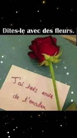 #humour#adulte#amour#coquin#romantique