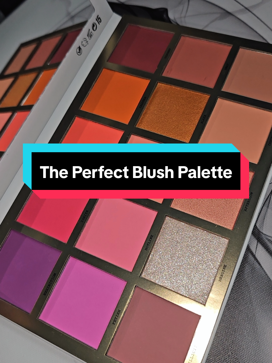 My biggest blush obsession is the Pro Cheek Palette by @Blend Bunny Cosmetics ! The one I use on clients is heavily used at this point, but thankfully this one is still pretty hahaha. I love the range of colors, the oversized pans, and the fact that it is magnetic! #blendbunnycosmetics #tiktokshopcreatorpicks #bfcm #tiktokshopblackfriday #blushpalette 