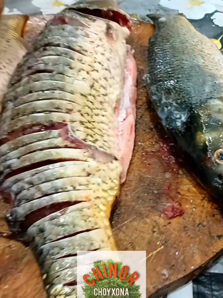 obuna bo'ling... #uzbekistan #qoqon  #chinorchoyxona #baliqlari  #tiktok 