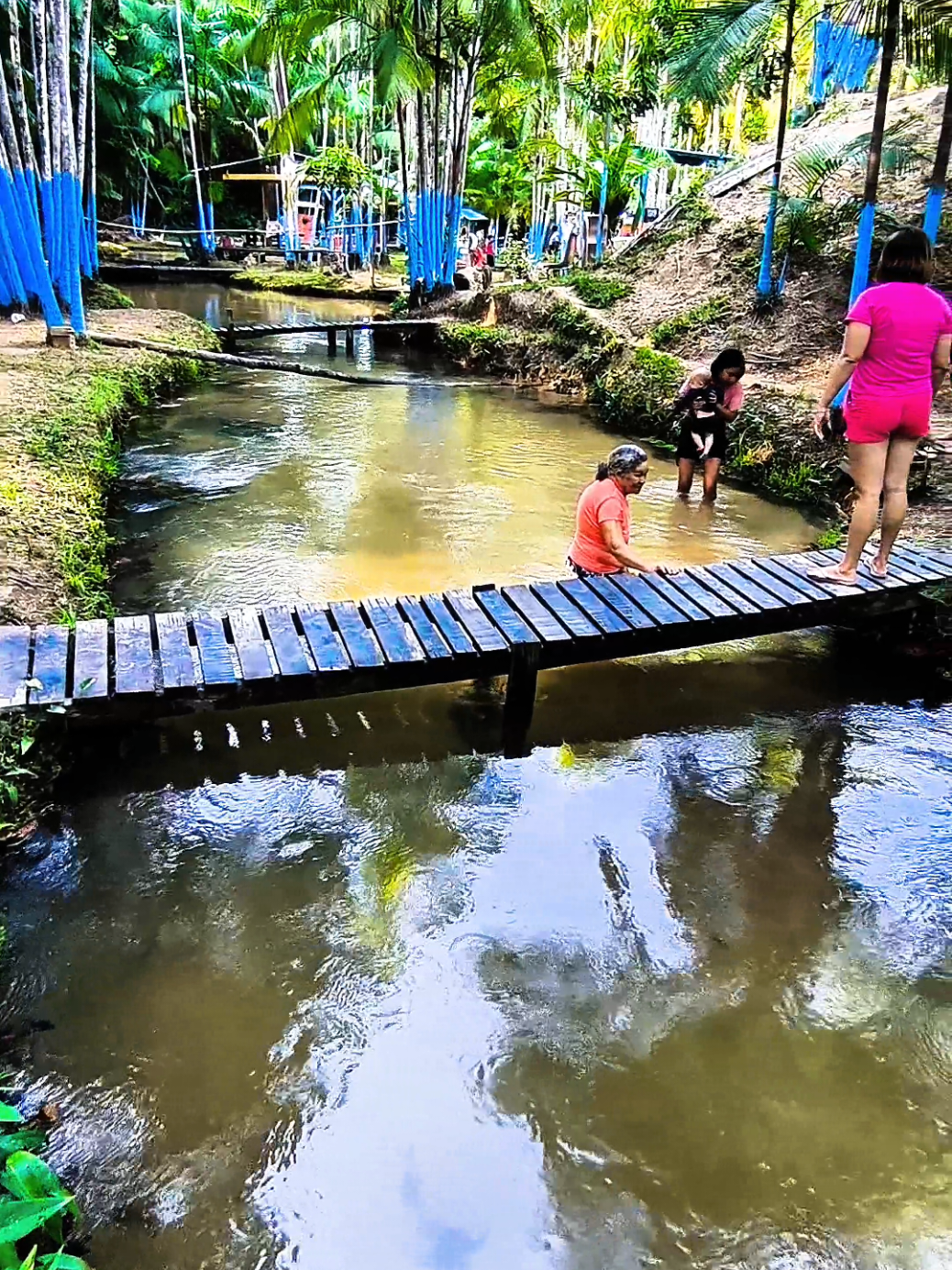 Igarapé do Pimenta   #interior #igarape 