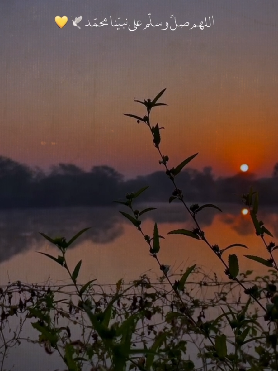 #foyyyyyyyyyyyyyyy  #foryoupage #oops #rasty_lak #سبحان_الله_وبحمده_سبحان_الله_العظيمم 