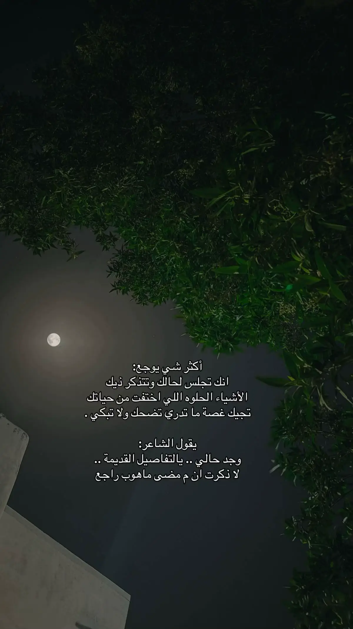 ‏من كثر ما اتوه في صوتك و احبه  ‏ احس ان الحكي مخلوق عشانه ❤️