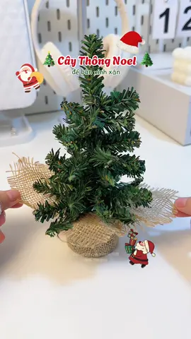 Trùi ưi nó nhỏ mà xinh lắm nha. Mà 🌰 lắm lun. Chỉ bằng cốc 🧋 thui á. #caythongnoel #caythongnoelmini #caythongnoeldeban #noel #marrychristmas  