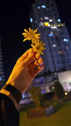 #لعلها_خير 💛🖇️ #لايك__explore___ #كومنت #creatorsearchinsights2025 