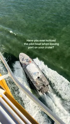 Did you know they did this!?? #cruise #pilotboat #cruiseship #cruisecaptain #cruiseport 