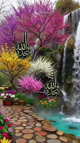 #🤲🤲🤲 #fypシ゚ #🤲🤲🤲 