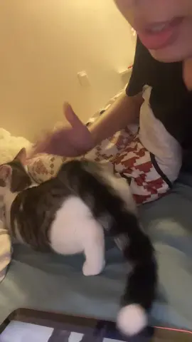 C quoi cette chzudssse #pourtoi #fyp 