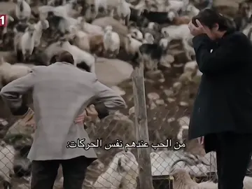 يالبيه #denizbaysal #ulastunaastepe #هذا_البحر_سوف_يفيض #اكسبلورexplore 