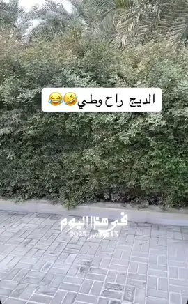 #ابو_متعب #الشعب_الصيني_ماله_حل😂😂 #اكسبلورexplore #الكويت🇰🇼 #علي_بو_غيث 