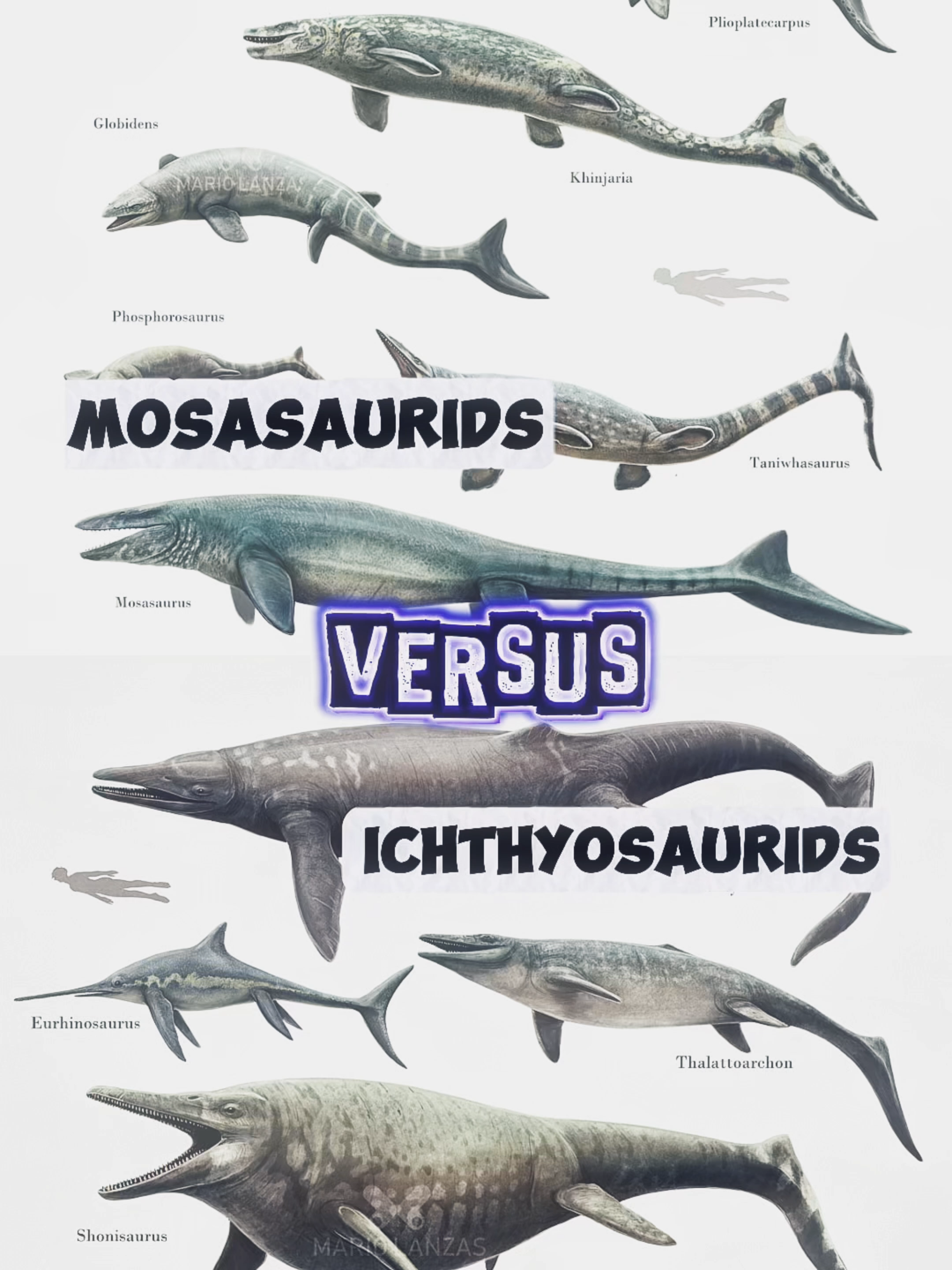 Mosasaurids vs Ichthyosaurids #prehistoric #shorts #vs #viral #1v1 #animals #sea #ocean #extinct #dinosaur #reptile #mosasaurus #pliosaurus #ichthyosaurus @dominion3503 @cargy.editz @quin.kana @evilorcarthru @haryad000000 @sharks_come_first @crazy_paleontologist @palaeoboi