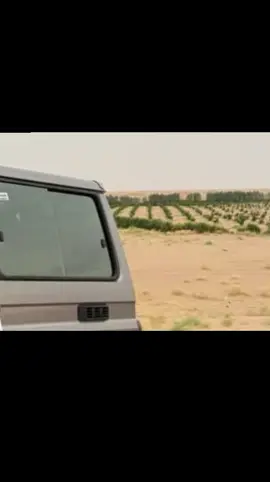 #تصويري_احترافي_الاجواء👌🏻🕊😴  #مارب#وادي#عبيده 