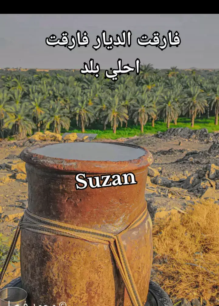 ##الطمبور_صديقنا_وعزنا_وملجأنا🎶🎼