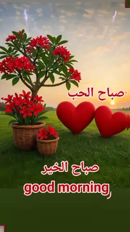 #صباح الخير #صباح الحب #يا شمس يا منوره غيبي #