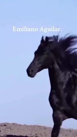 #emilianoaguilar #musicaconletra #todoelmundo🌎 #lagatabajolalluvia  