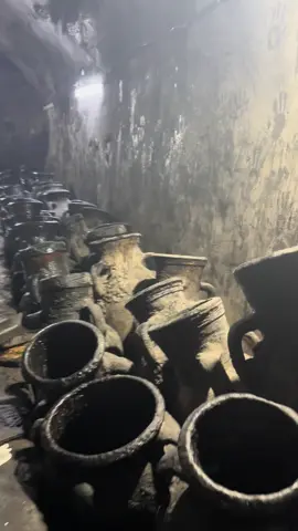 #viral #lalisch🦚 #delale #yeziden 