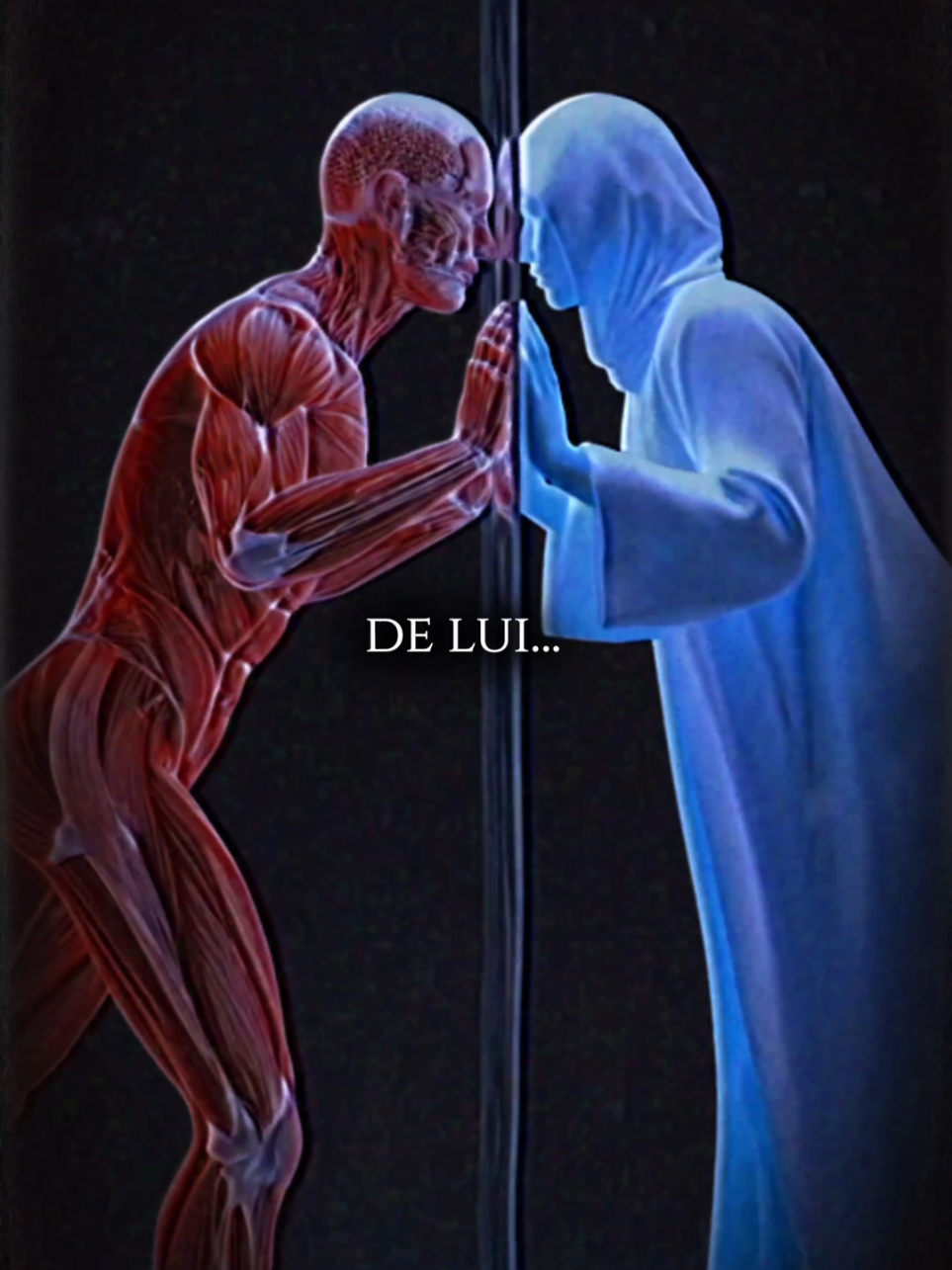 Le cerveau humain valorise ce qui lui échappe. #emotions #relations #psychologie 