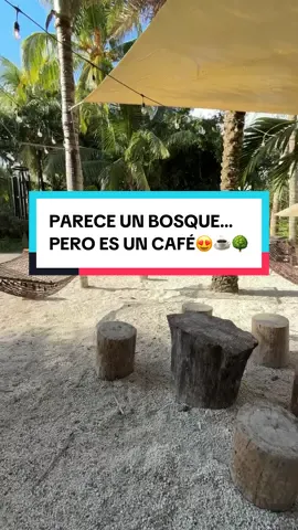 Un cafecito entre árboles, aire fresco y buena energía. 🌿 Perfecto para desconectarse un rato y reconectar contigo. Guárdalo y mándaselo a quien te invitaría aquí. 👉🏼Recuerda comprar mi Endulza tu alma y llevarlo siempre contigo🤩. • • • #coffe #davie #parati #exploradoradelalma #quehacer 