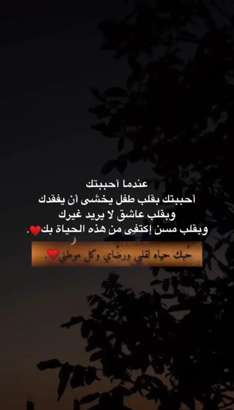 حبك حياه لقلبي ❤️❤️