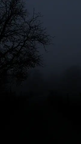 No, let her think I never loved her #darkaesthetic #darkvibes #darknaruralism #fog #darknarure 