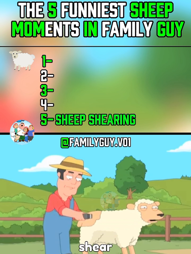 the 5 funniest sheep 🐑🐏🐏 moments in family guy 😭😭😃#foruyou #viralvideos #top5 #familyguy #sheep 