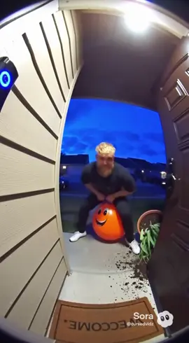 Jake Paul bouncing around | #jakepaul #bouncingball #funnytiktok #sora #ringdoorbell 