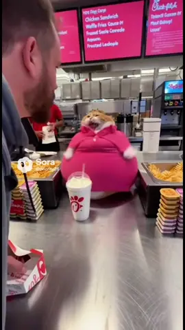 Cat works freaks out from angry guy! #cuteanimals #catlover #catsoftiktok #sora #funny 