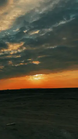 #صحاري_كربلاء #الشعب_الصيني_ماله_حل😂😂 #شركة_الاتحاد_قصة_نجاح_لاتنتهي 