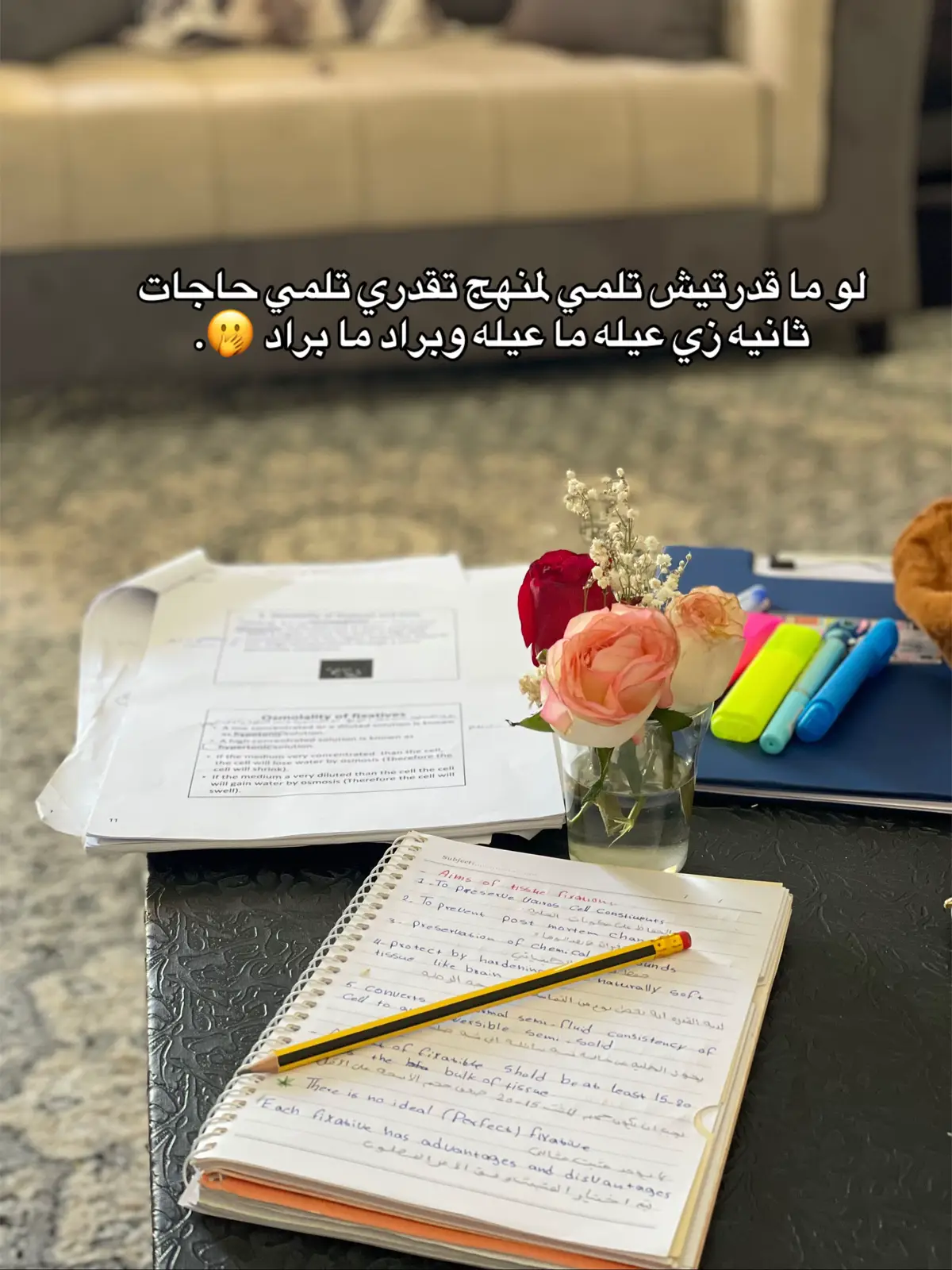 #شعب_الصيني_ماله_حل😂😂 #اكسبلورexplore #زنقة_كلاب #امتحانات 