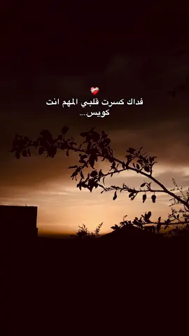 فداك قلبي🪫🖤#استوريهات_حزينه🖤🥀 #عبارات_حزينه💔 