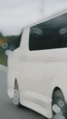 #CapCut #pi7629 😾😻