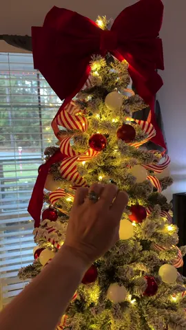 #tree #debbie #christmastree #fyp #nails 