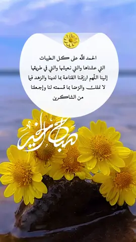 #oops_alhamdulelah على كل الطيبات التي عشناها والتي نعيشها والتي في طريقها إلينا اللّهم ارزقنا القناعة بما لدينا والزهد فيما لا نملك والرّضا بما قسمته لنا وإجعلنا من الشاكرين#foryoupage #funny #fyp #f 