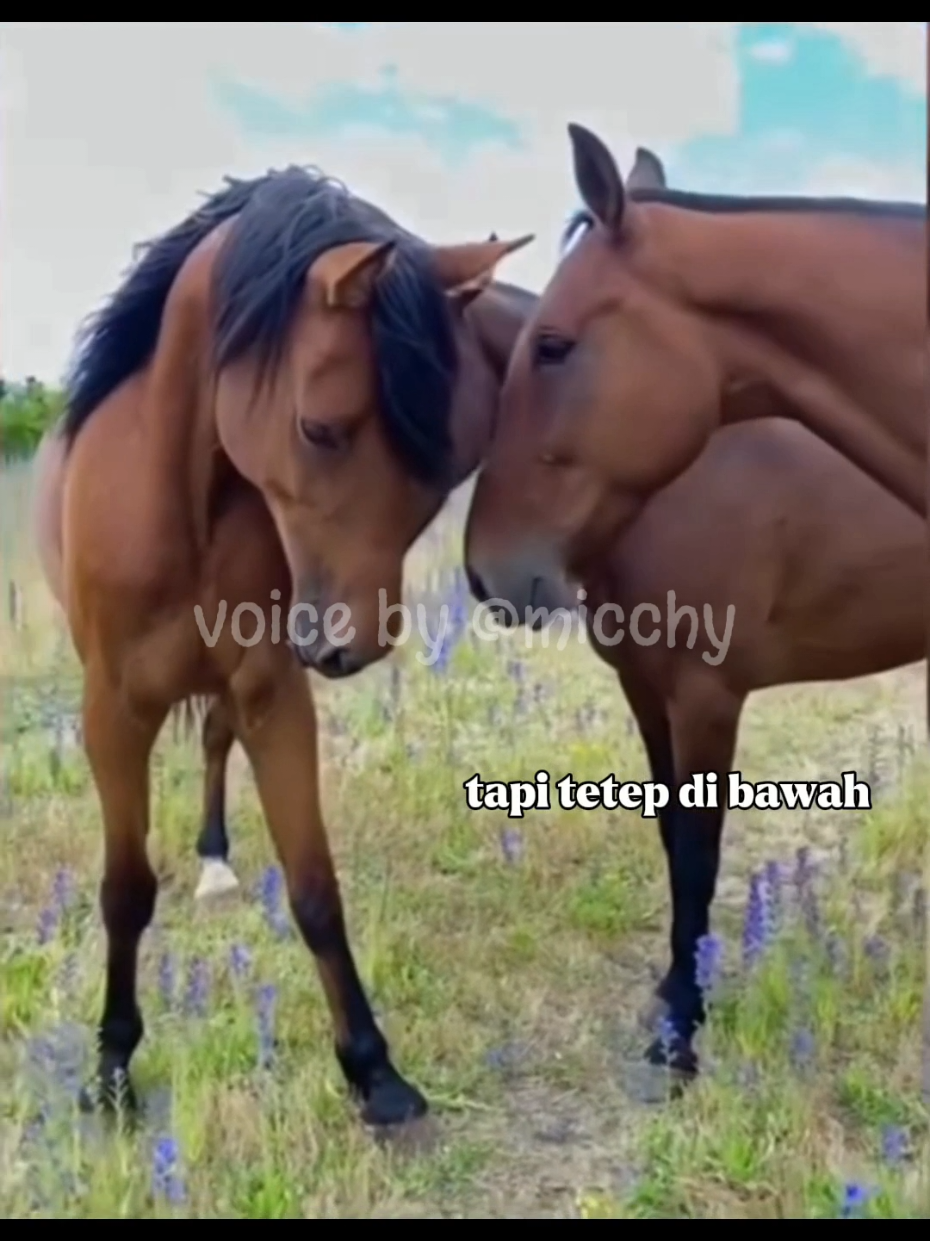 🐴perkara jokes bapaks² voice by me.  #dubbing #dubbinghewan #dubbingindonesia #hinashiki #fypage 