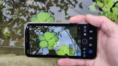 Blackmagic camera sẽ cho bạn trải nghiệm tốt nhất.#iphone #blackmagiccamera #xuhuongtiktok #xuhuongg #xuhuong 