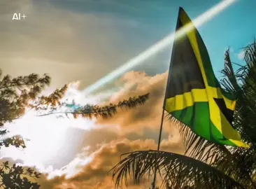 #jamaica #dancehall #reggae #caribbean #music @eNGee Dadon 