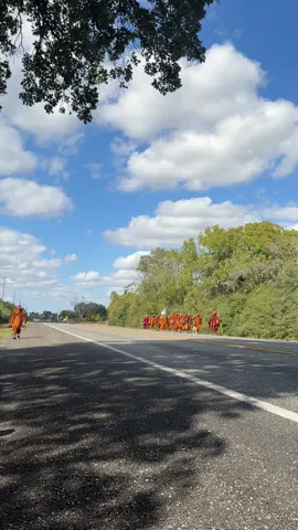 I feel so blessed, happy and honored to meet them #walkforpeace #walkforpeaceusa #monks #dog #aloka 