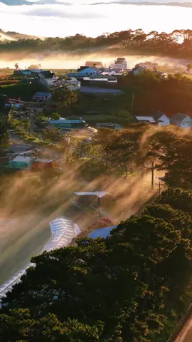 Năm nay bạn đã đi Đà Lạt chưa ? #dalatcham #sanmaydalat 