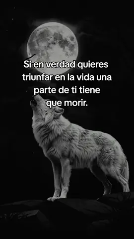 #frasesmotivadoras #parati #mentepositiva #disciplina #viral 