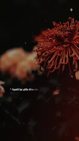 “ Người lạc giữa đêm sâu nghe sương rơi cuối phố… #tramnhacbuon_07 #BKmuzic  #teddyentertainment 