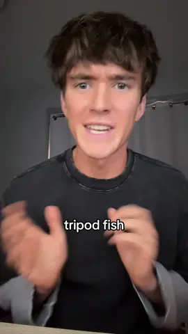 the life of a tripod fish is so sad😭✌️ #fyp #foryoupage #viral #trend #trending 