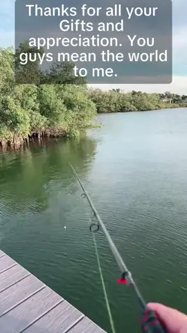 Thanks for all your Gifts and appreciation. You guys mean the world to me.#tiktoklive #livehighlights 