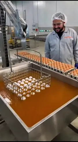 Así hacen los huevitos orgánicos 🥚🤭😂 #mandy👌🏼 #huevos #organic #funny #memes 