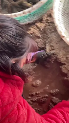 Hôm này đi theo mấy cô bắt tôm biển #belaiganbien #cuocsongganbien #suhuongtiktok2025❤️❤️❤️🥰❤️❤️ 