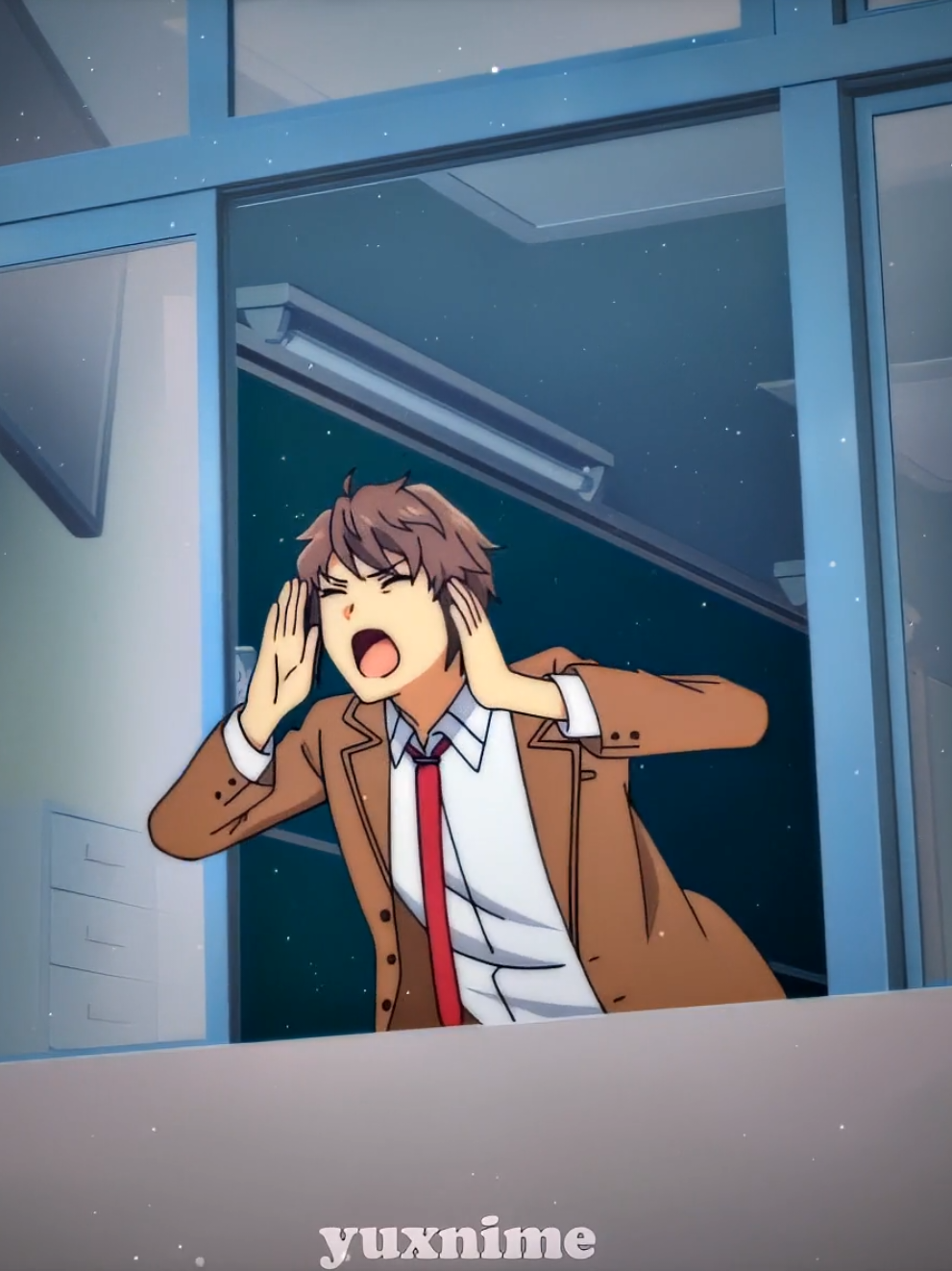 Mai Sakurajima❤🌟 #seishunbutayarou #maisakurajima #harusq #mewfysqd #dreamsqd 