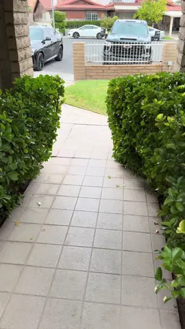 Y todavía nos falta la celebración en la noche. 😁🎉🎉🎉 DIOS ES SIEMPRE BUENO🙏 GRACIAS POR TANTO DIOS PADRE 🙏 @Enrique @EnriqueV #birthday #cumpleaños #fyp #foryoupage #viral 