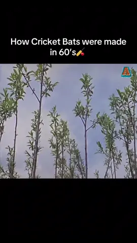 #cricketlover #fylpシ 