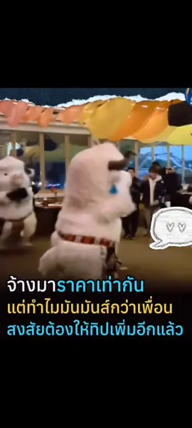 #คลิปตลก #วัว #ข่าวtiktok #ขึ้นฟีดเถอะ 