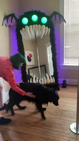 Meatball and the giant Monster Mirror ©️ 