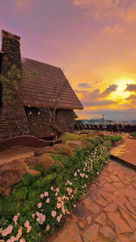 Bản Lèo .. Open 14/11 Mọi người tới dùng ly cafe với Lèo nhé #Dalat #Banleo